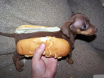 BST - WooCommerce - Hotdog - Has dimensions